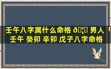 壬午八字属什么命格 🦍 男人「壬午 癸卯 辛卯 戊子八字命格」